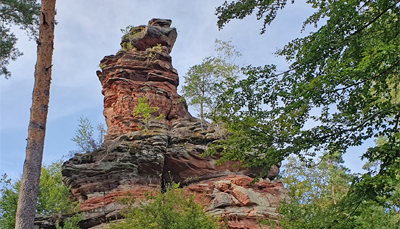 Wandern im Pfälzerwald