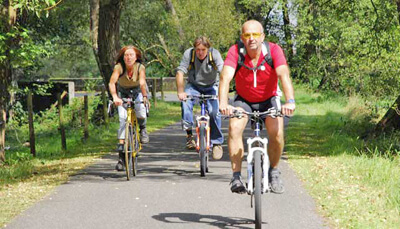 Radfahrer im Dahner Felsenland